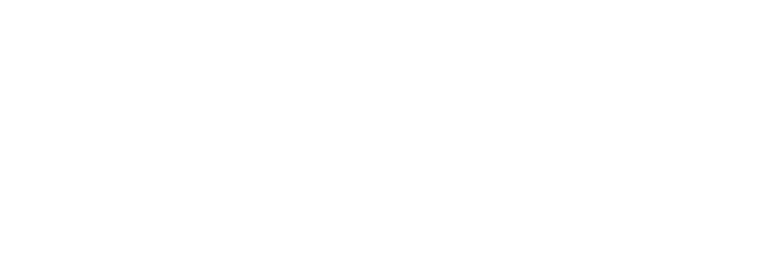 Salty.Mind Logo